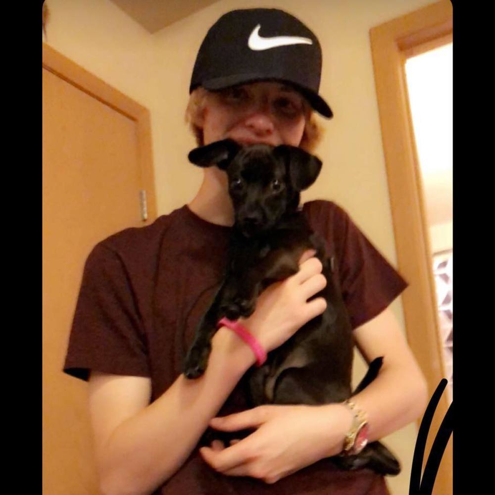 Meet your Posher, Wyatt